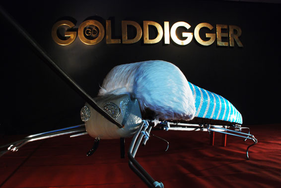 golddigger - afbeelding 1